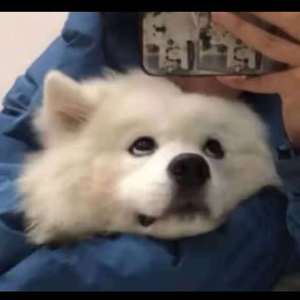 六月婷婷七月丁香
